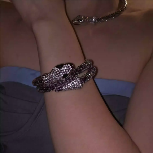 Punk Serpent Choker & Bracelet Set